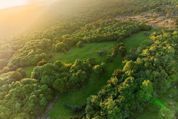 759 Mount Fyffe Road Kaikoura Flat_22