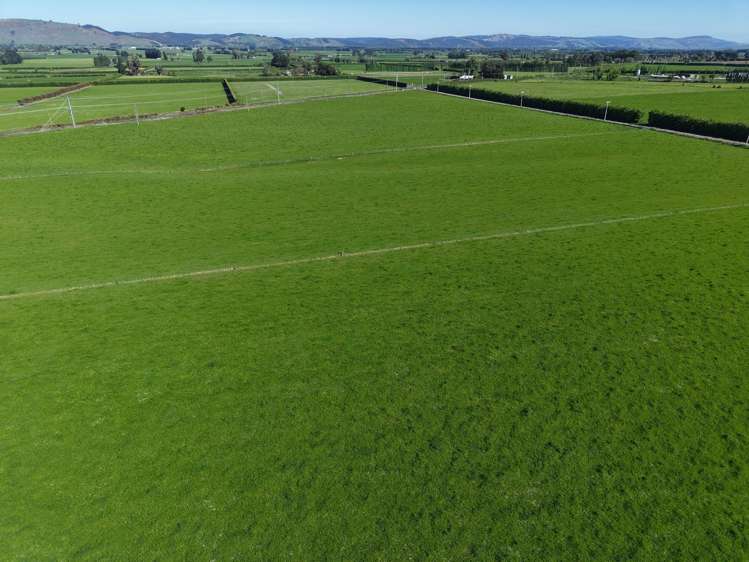 35 Maungatua Road Taieri Plain_35