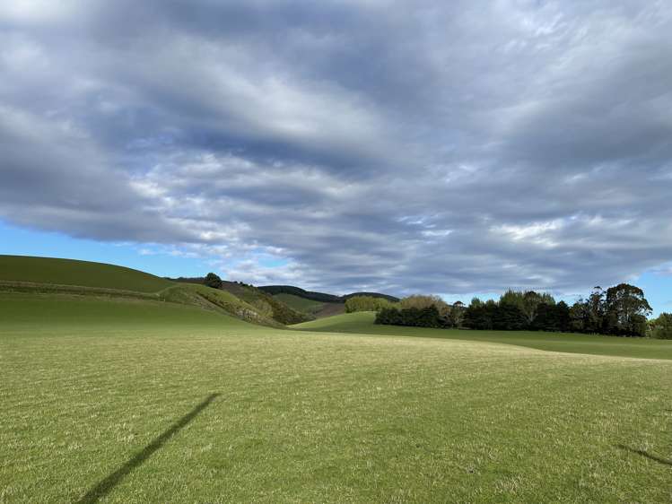 8 Munro Road Lawrence_13