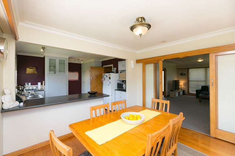 245 Carrington Street Vogeltown_5