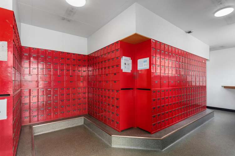 108 Church Street, Opotiki Opotiki_4