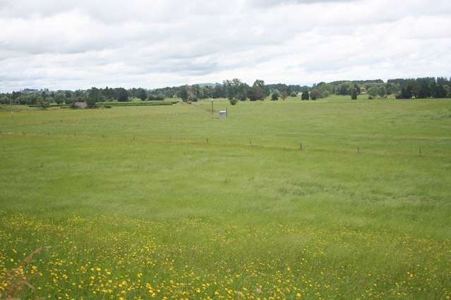 Old Te Kuiti Road Otorohanga_1