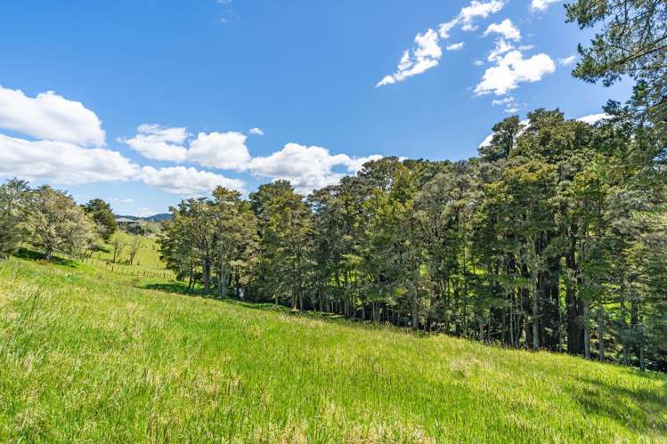 83 Waitangi Road Kiripaka_26