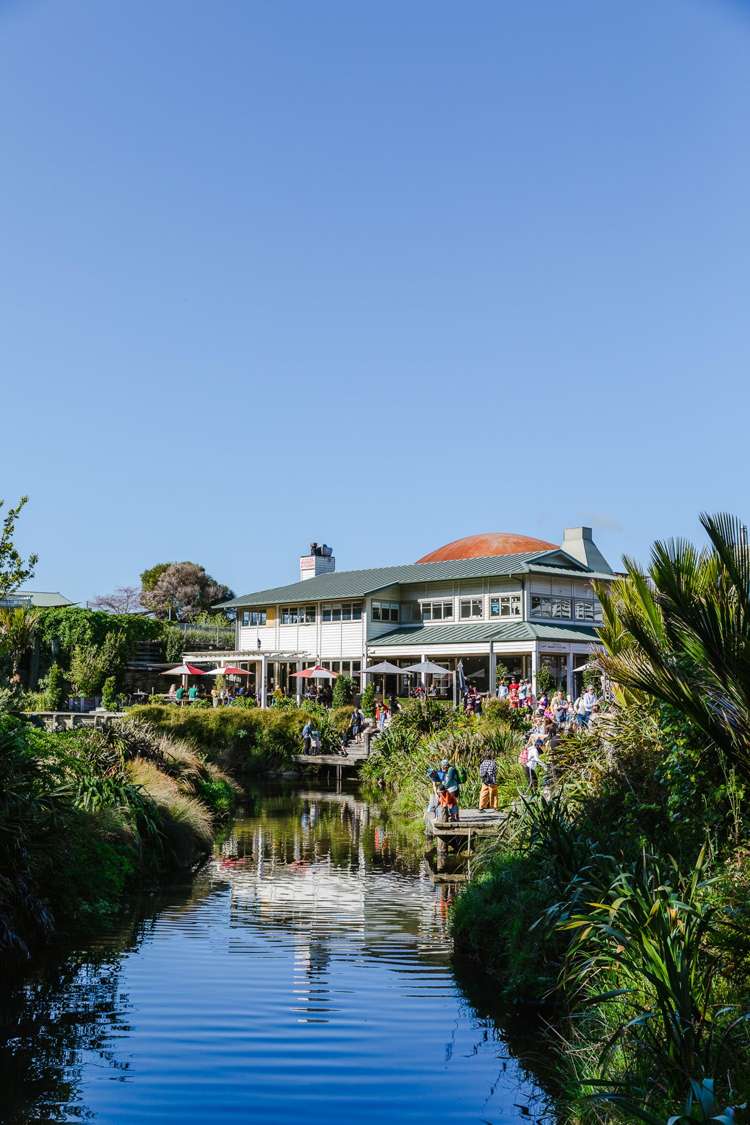 Lot 151/245 Matakana Road Warkworth_5