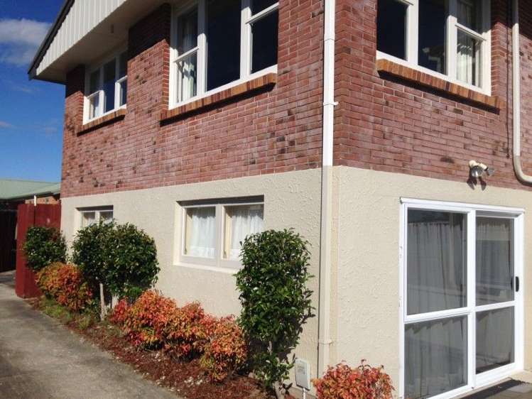 24b Vine Avenue Maungatapu_25