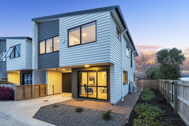 29d Mackenzie Street Te Atatu South_1