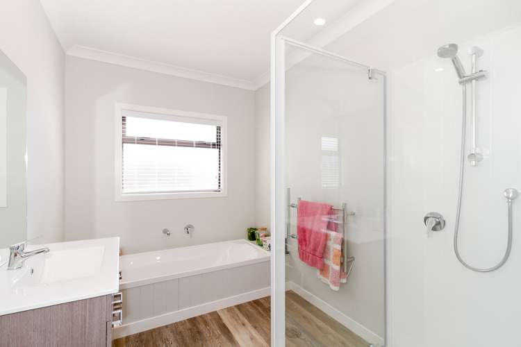 61a Avondale Road Taradale_11