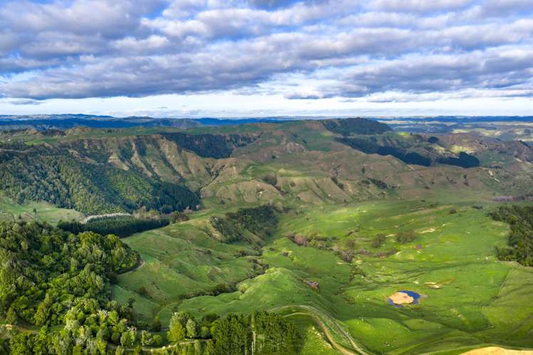 279 Taumatatotara Road Te Kuiti_12