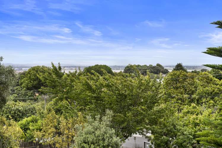 2/41 Rawhiti Road One Tree Hill_15