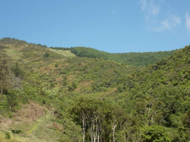 Blandswood Road Timaru_3