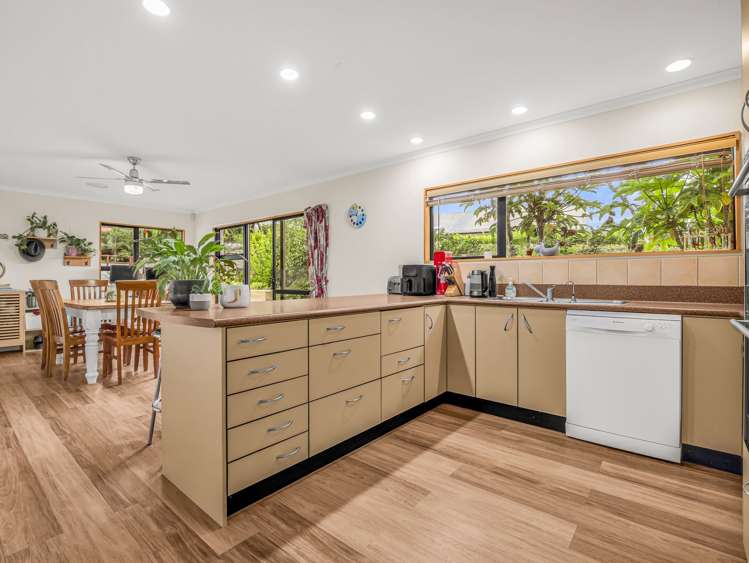 7 Downer Street Helensville_4