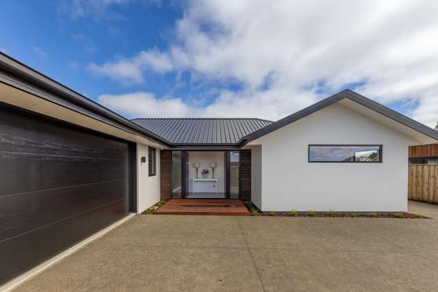 12 Monarch Drive Rolleston_1