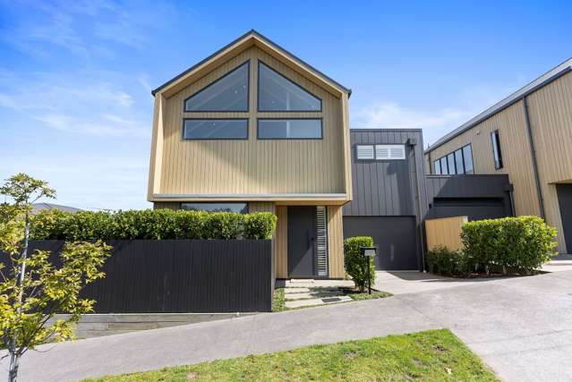 Wild move: How the Auckland Unitary Plan helped a Grey Lynn family