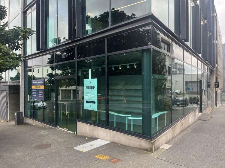 5 Crummer Road Grey Lynn_13