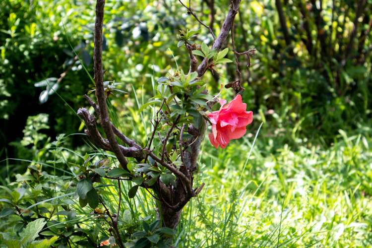 291 Hokianga Harbour Drive Omapere_33