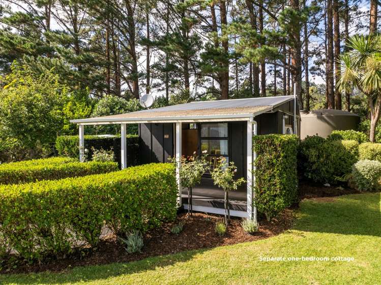 2252 SH29 Lower Kaimai_21