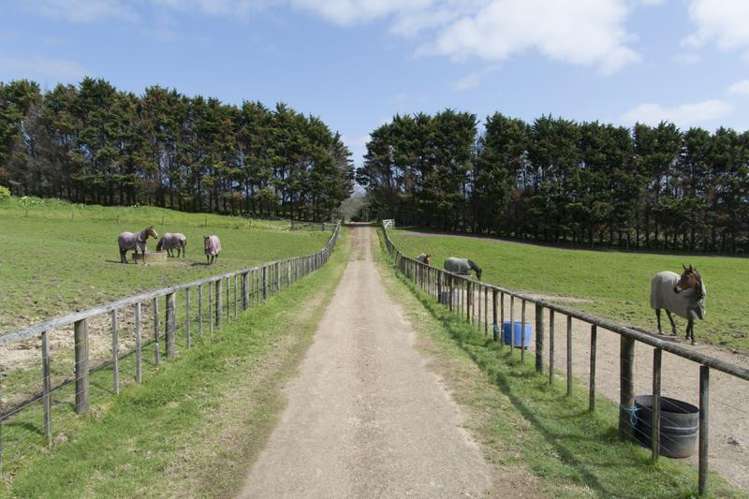 56 Trig Road Whitford_12