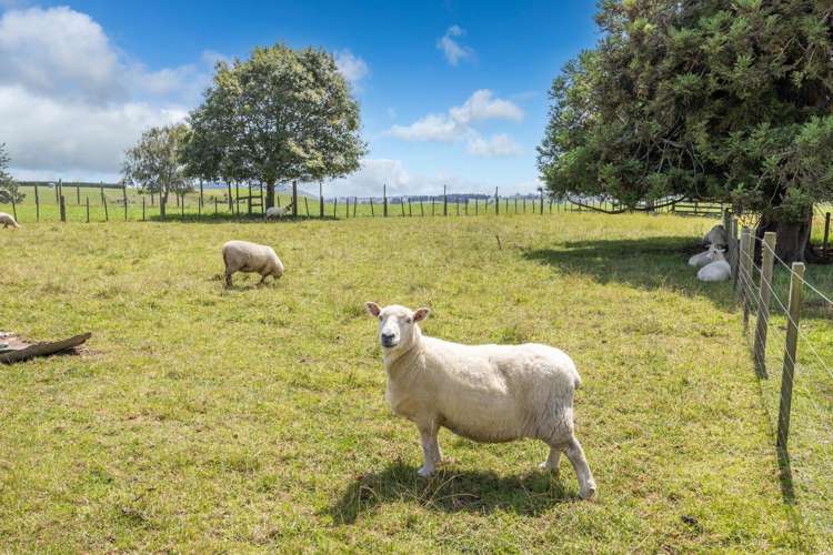 865 Puketarata Road Otorohanga_36