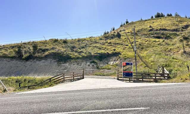 498 Seafield Road Puketapu_1