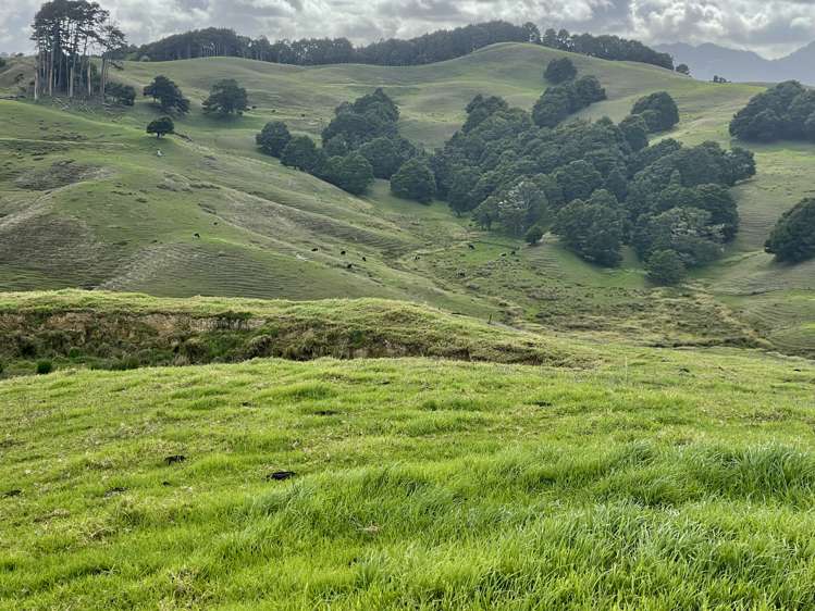 426 Mangarata Block Road Arapohue_21