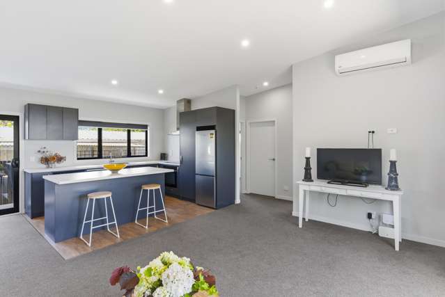 33A Keepa Street Levin_4