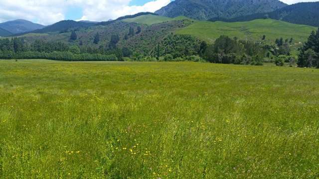 Motueka Valley Highway Motueka_2