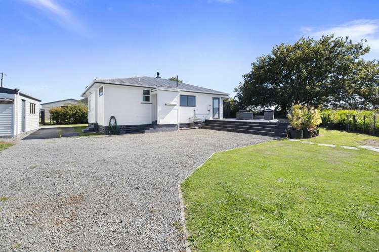 22 Ward Street Bulls_18