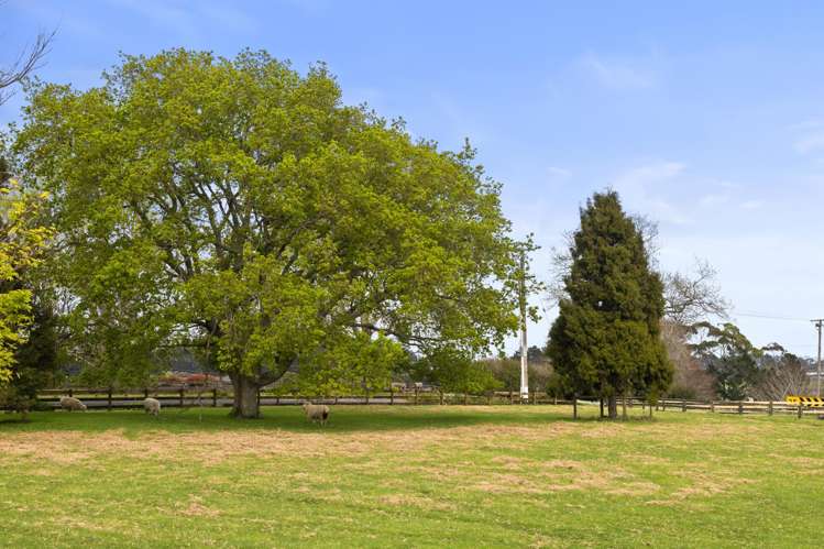 221 Razorback Road Bombay_24