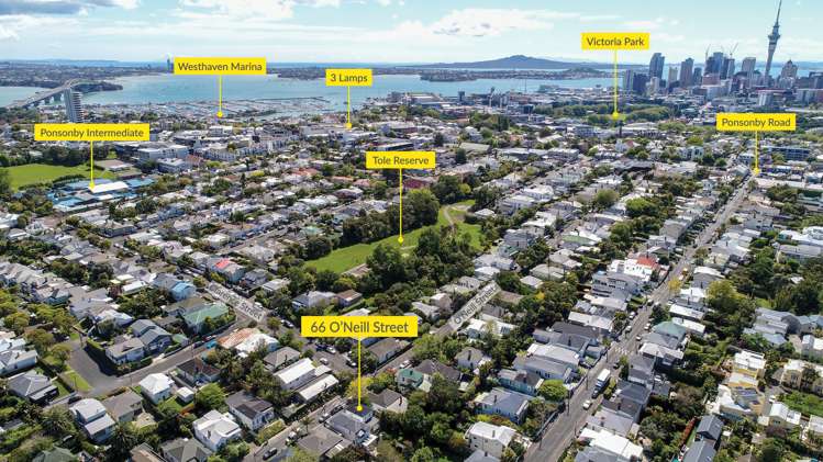 66 Oneill Street Ponsonby_20