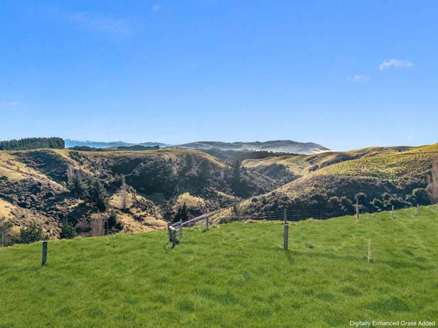 660 Cathedral Road Domett_1