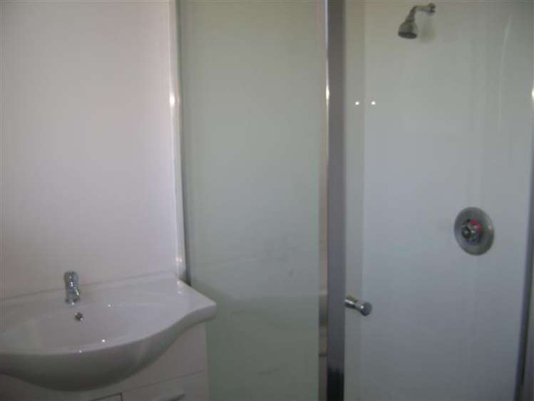 55 Douglas Mclean Avenue Marewa_3