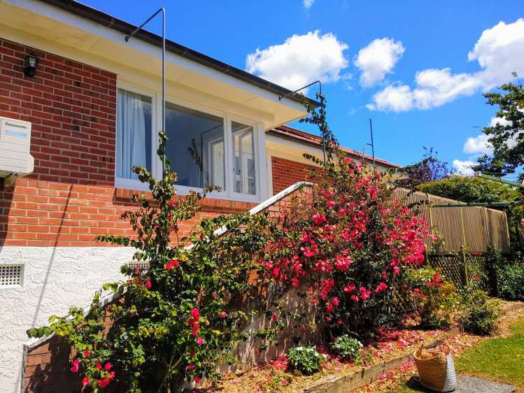 32 Bertram Street Warkworth_4