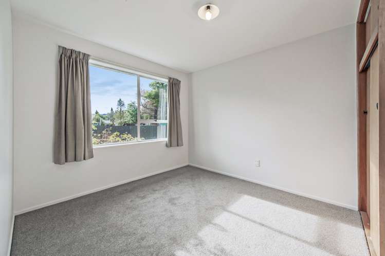 4 Queen Street Springfield_9