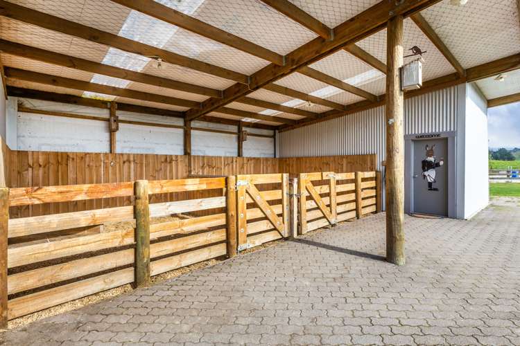 175 Link Road Wairakei and Surrounds_29