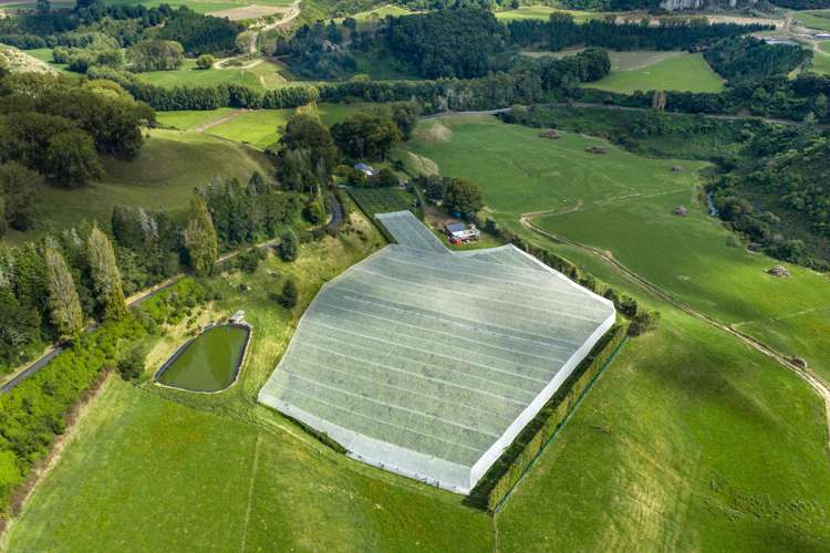 1151 Oreipunga Road Maungatautari_7