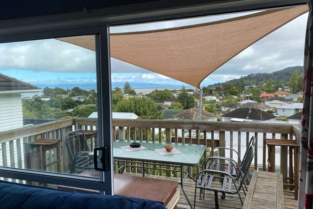 117 Hauraki Terrace Thames_3