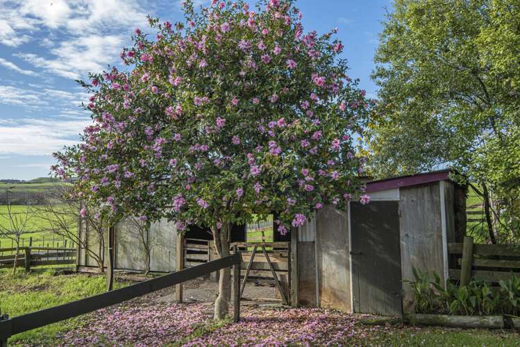 83 Price Road Mangapai and Surrounds_17