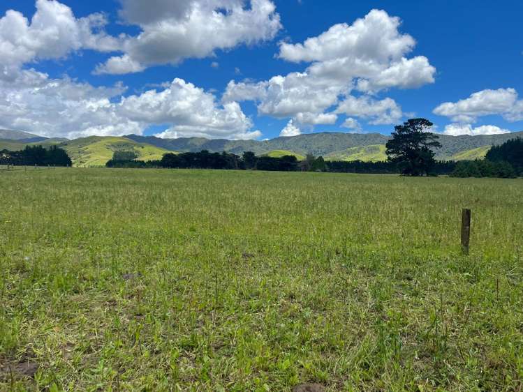 220 Larsen Road Eketahuna_3