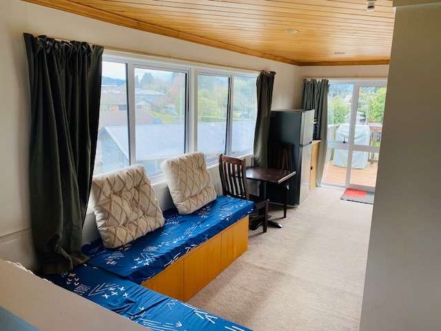 5B Galbraith Street 1147_3