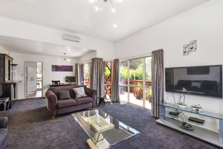 14c Cradock Street Avondale_11