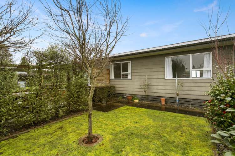 41a Herbert Street Kihikihi_13