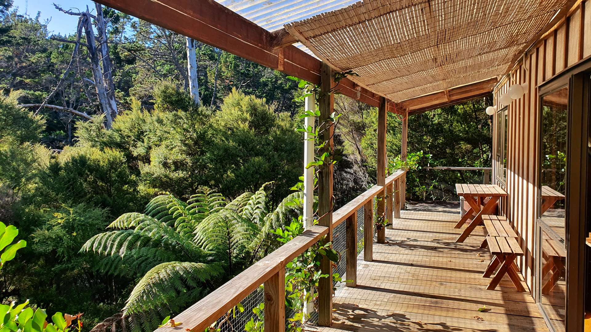 46 Schoolhouse Bay Road Kawau Island_0