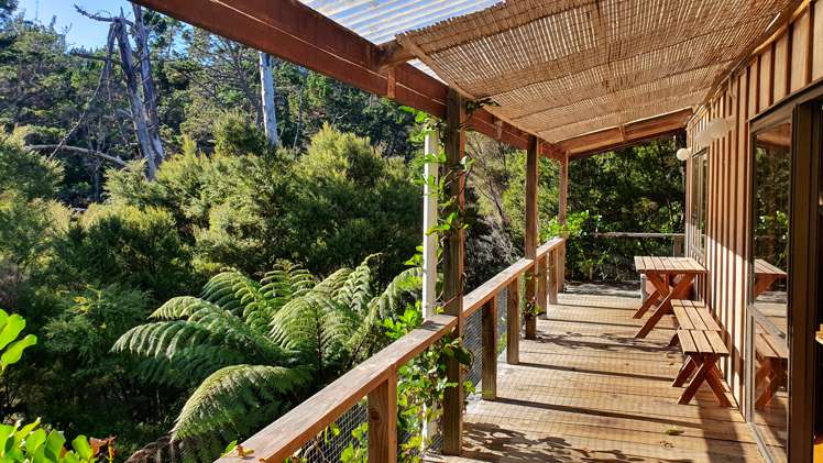 46 Schoolhouse Bay Road Kawau Island_1