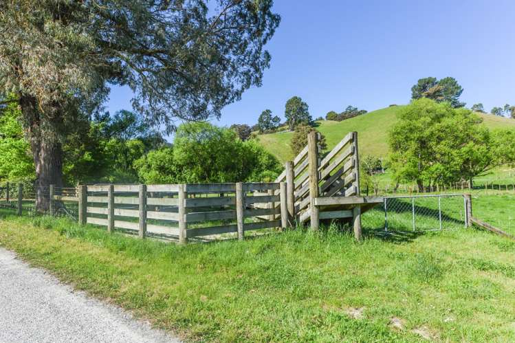 915 Thorpe-Orinoco Road, Dovedale Ngatimoti_43