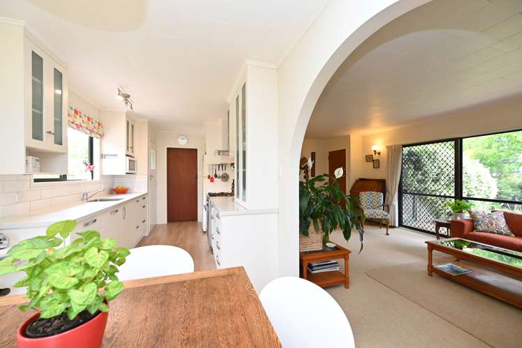 17 Sutherland Street Tamatea_7