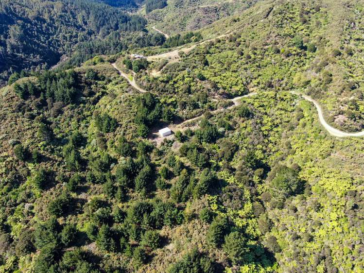 427 Bennett Road Te Mata_4