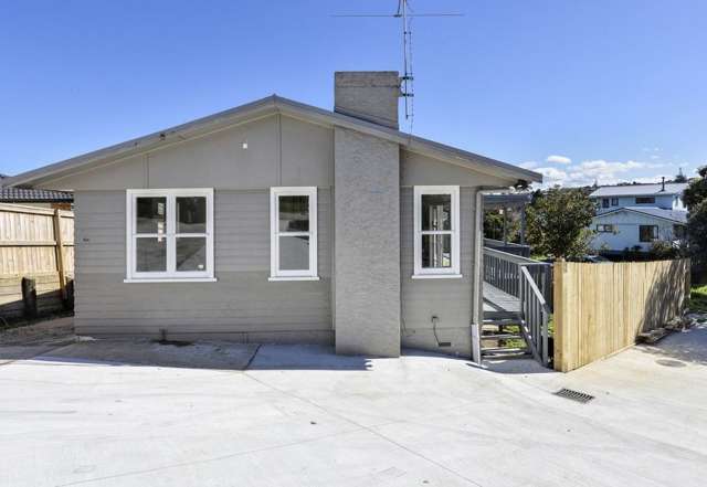 56 Ellis Avenue Mount Roskill_1