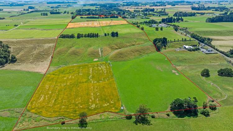 2054 Kimbolton Road Kiwitea_3