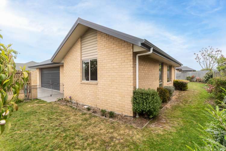 91 Burwood Road Burwood_14