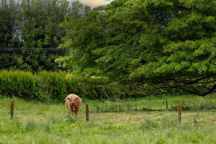 112 Cochrane Road Ngahinapouri_19